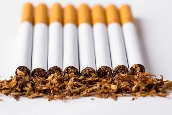 鲤鱼喜欢吃什么天然饵料,玉米、麦粒、红薯等种类都适合使用