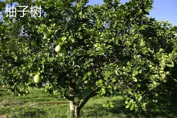 农村有什么投资小利润高的生意，废品回收、农村快递等项目值得考虑
