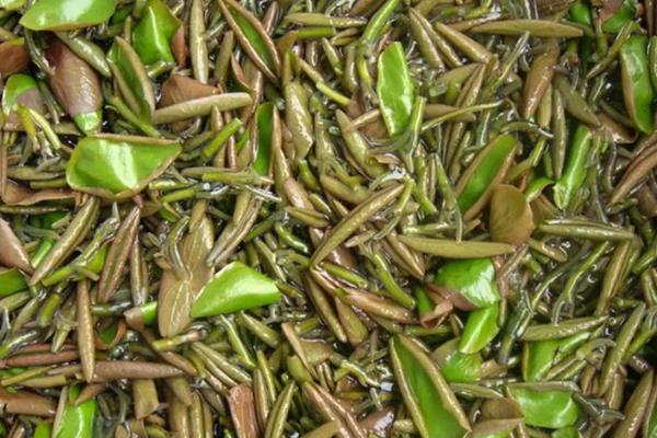 白菜上的黑点是什么，可能是菜虫的虫屎