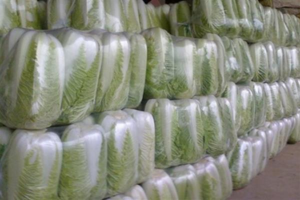 白菜可以放冰箱冷藏么，白菜能放冰箱冷藏
