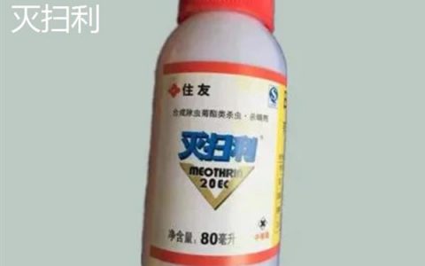 爱尔兰生蚝产于哪里，主产于爱尔兰西北和东南部