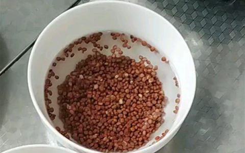 百合花常见的病害及防治方法，常见的有青霉病、丝核菌病等