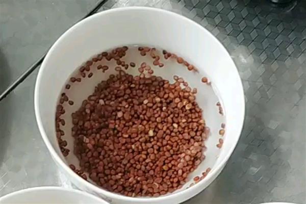 小白菜种子种植前需要泡吗，种植前需要用温水进行浸泡