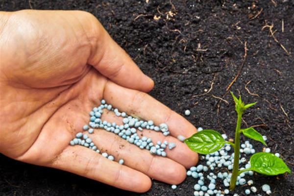 生物肥与水溶肥有什么区别，定义、成分、用法均不同