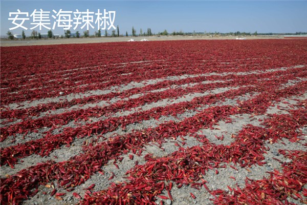 甲鱼能一直养水里吗，不可一直养在水里