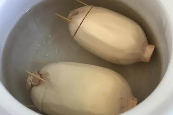姬松茸亩产多少斤，在600斤左右