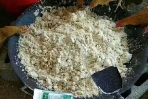 绿丰黑12号水稻种子介绍，该品种主茎12片叶