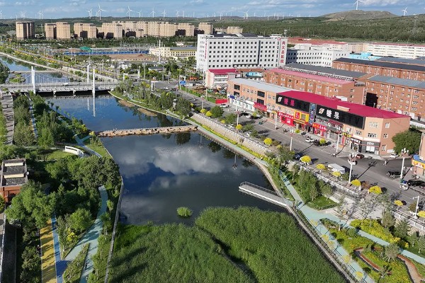 绿萝水培还是土培好，绿萝土培会更好