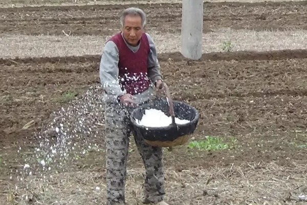 花生烂种缺苗的原因，可能是种子质量有问题