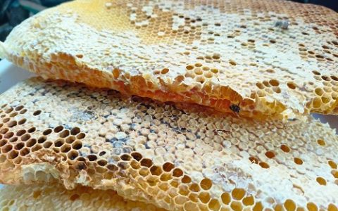 夏季蛋鸡饲料科学配比方法大全