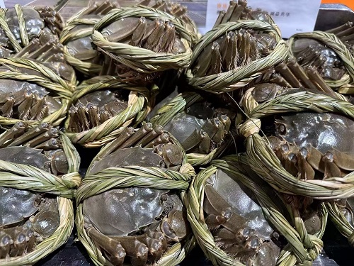 孔雀鱼养殖烂尾病的防治方法与预防措施