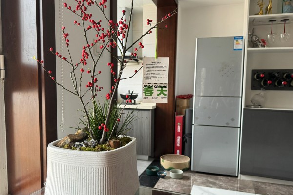 八月适合种植哪些蔬菜，适合种萝卜、菠菜等
