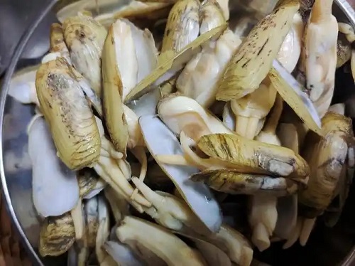 蜜蜂花粉中毒的救护与预防措施