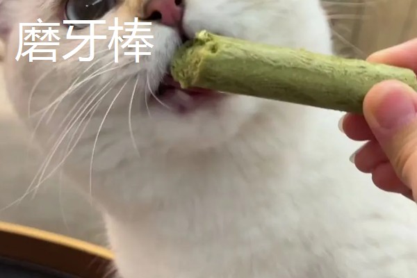 什么树不可以打石硫合剂，梅花、桃树、梨树等都不能用