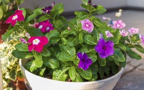 应对阴雨天气，大豆减损收储技巧全解析