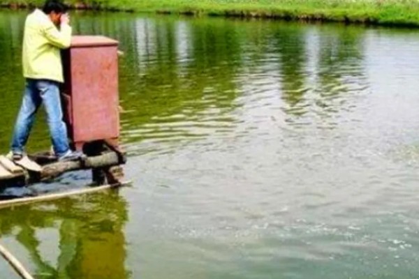 樱桃的防虫方法，有按季清园和喷洒化学药剂