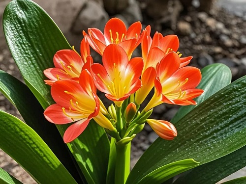 全国中晚稻重大病虫害发生动态及未来发展趋势分析