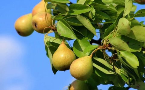 养殖遇到湿冷环境 专家支招科学应对方法