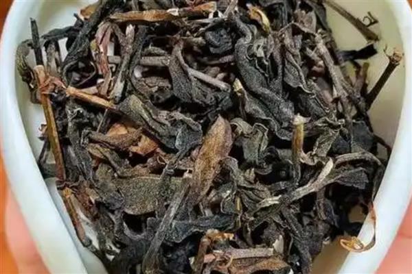 鸽子飞走了多少天能回来，一般在当天或者隔天回来