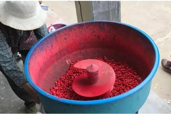 玉米的播种方法，播种前需晒种