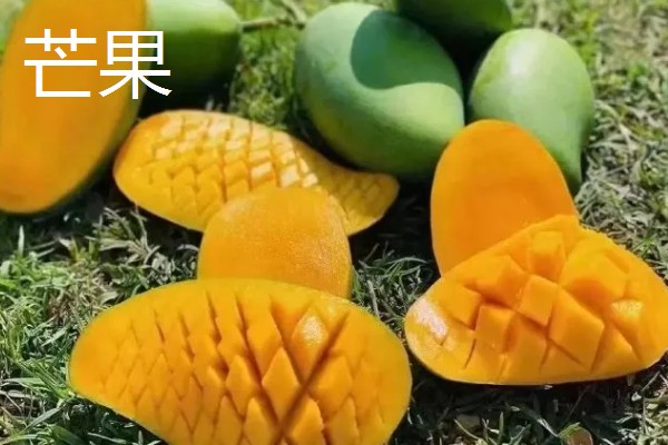 低热量的水果有哪些，常见的有柚子、枇杷等