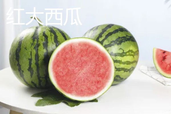 藠头是什么，是中国南方地区的一种蔬菜