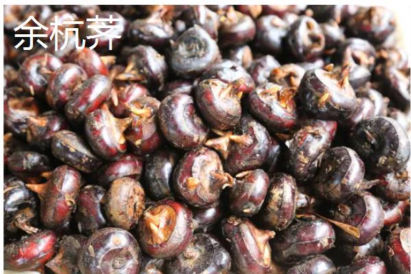 四季茶花的养殖方法，使用含腐殖质的酸性土壤为佳