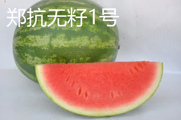 种植无籽西瓜的方法，苗期亩施尿素5公斤