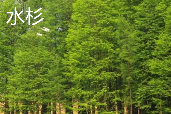 几号千又钩可以大小通杀，0.3号的基本可以大小通杀