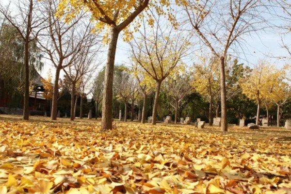 几号千又钩可以大小通杀，0.3号的基本可以大小通杀