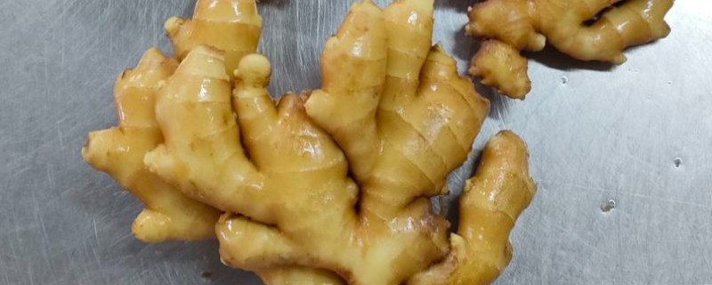 生姜绿了还可以吃吗，可以放心食用