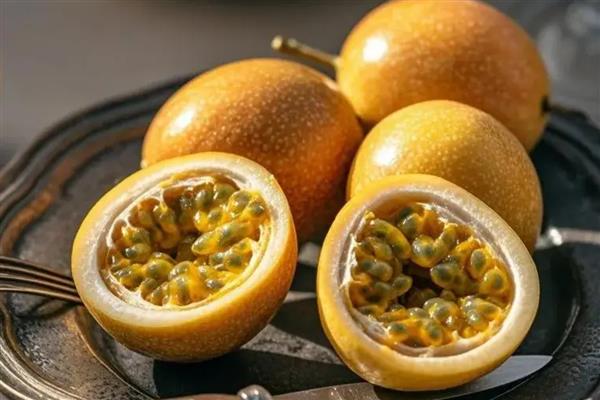 墨兰有什么种类，常见企黑墨兰、企剑白墨等品种