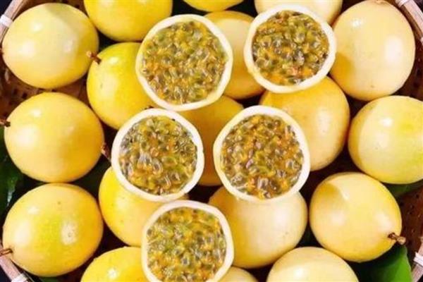 一头羊的重量，成年公羊约为90-150公斤