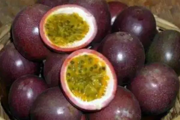 毒死蜱对玉米有药害吗，对玉米不会产生什么药害