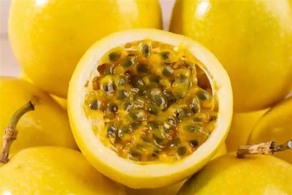 有哪些水产养殖的有害细菌，包含弧菌、链球菌等