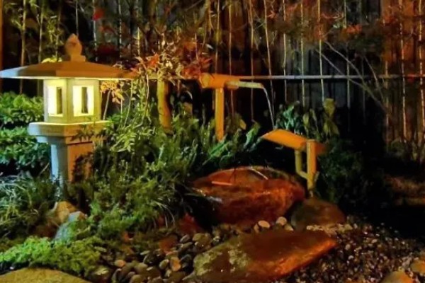 玉肥适合哪种植物，适合金樱花、黄杨、丁香等