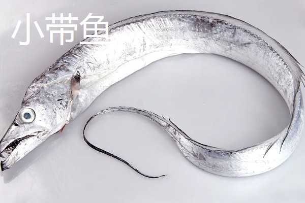 西瓜坐果期怎么浇水施肥，增施氮肥和钾肥可促进果实膨大