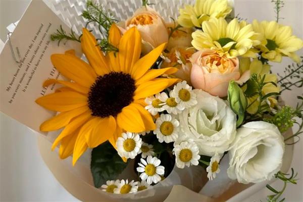 蓝色雏菊有什么花语，代表忧郁忧愁、可爱小巧等含义