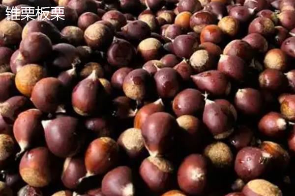 农药剂的主要特点和技术，农药剂起保护作用