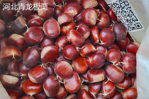 农药剂的主要特点和技术，农药剂起保护作用