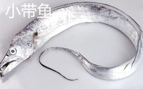 绿萝养护指南：施肥首选含氮多的液体花肥