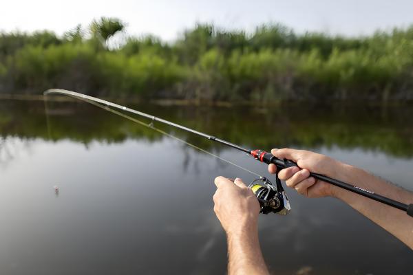 有什么四季常青的爬藤植物，常见长春蔓、常春藤等品种
