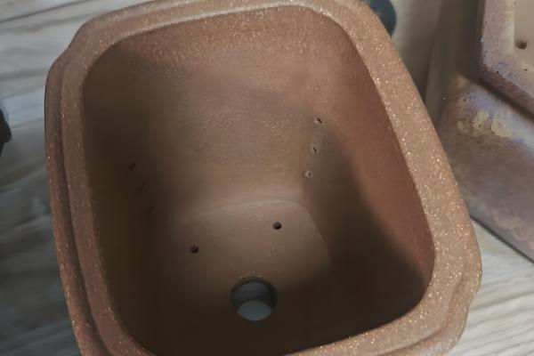 兔子为何患上传染性鼻炎，常见以下8个原因