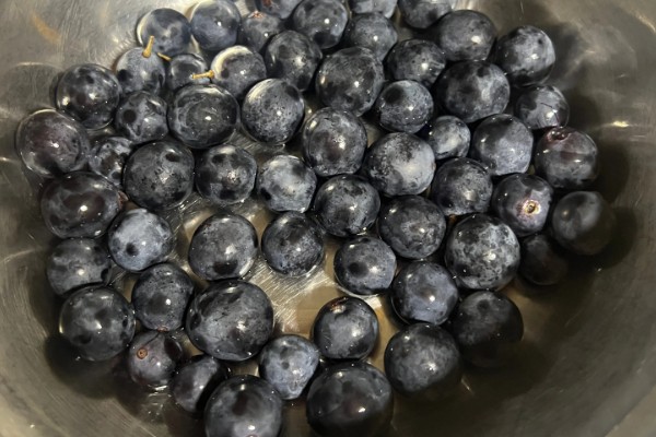 地里有虫子如何处理，防治蚜虫可喷施杀蚜松等药物