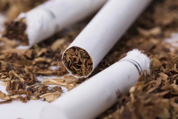 地里有虫子如何处理，防治蚜虫可喷施杀蚜松等药物