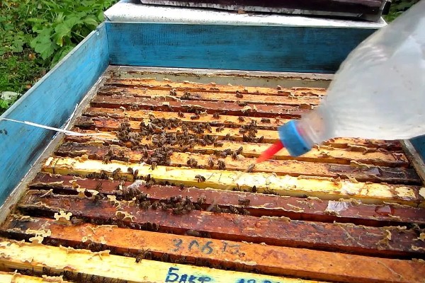 什么瓜跟黄瓜很像，荷兰瓜与黄瓜相似