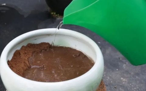 冬季钓鲤鱼如何选择钓位，水深2米以上水草区更佳