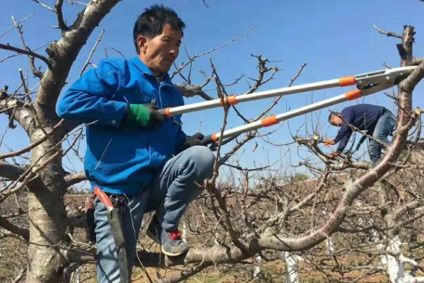 冬季钓鲤鱼如何选择钓位，选择水深2米以上的水草区