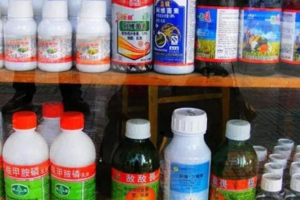 五丰优128水稻品种的特性，中抗稻瘟病