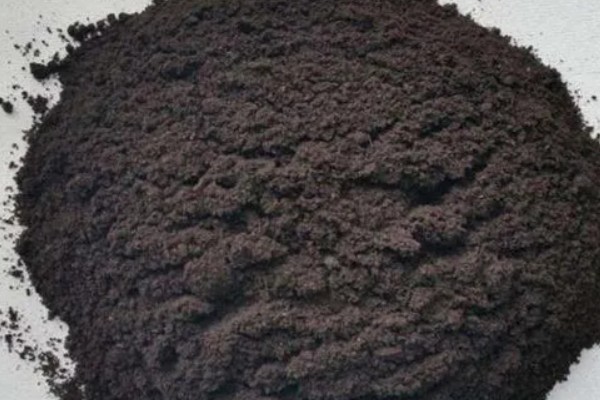 杂袍孔雀鱼怎么分公母，可通过体型和颜色来区分